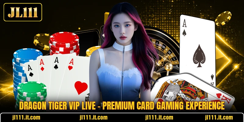 Dragon Tiger VIP Live - Premium Card Gaming Experience