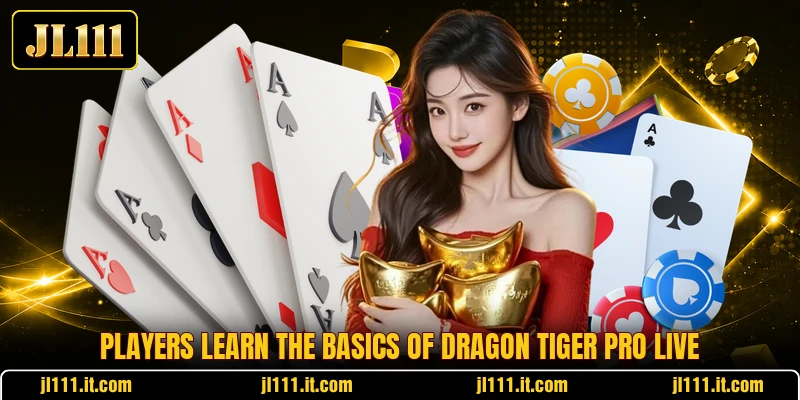 Players learn the basics of Dragon Tiger Pro Live